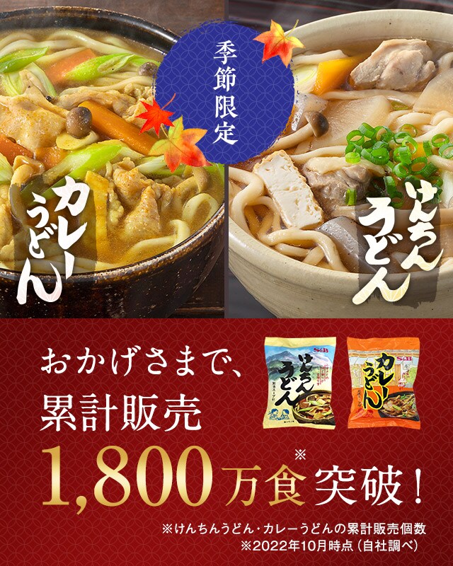季節限定 けんちんうどん・カレーうどん