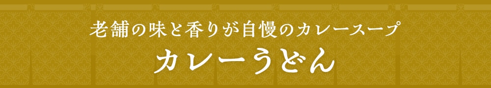 老舗の味と香りが自慢のカレースープ カレーうどん