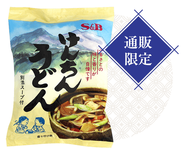 通販限定 けんちんうどん