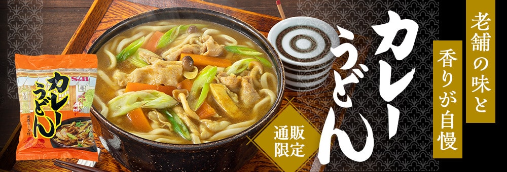 通販限定 カレーうどん