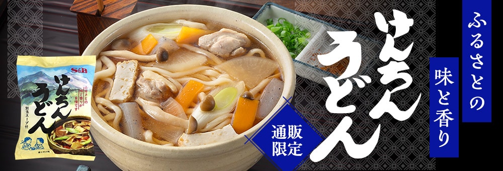 通販限定 けんちんうどん