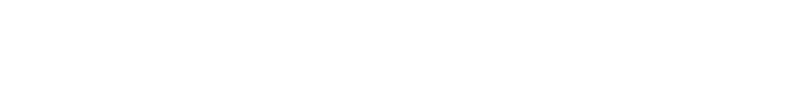 中華料理の素