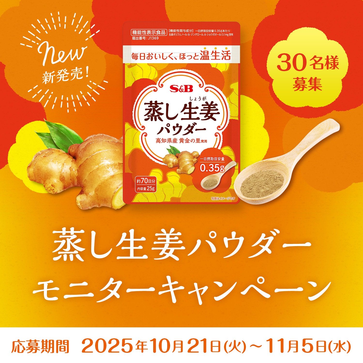 蒸し生姜パウダー モニターキャンペーン