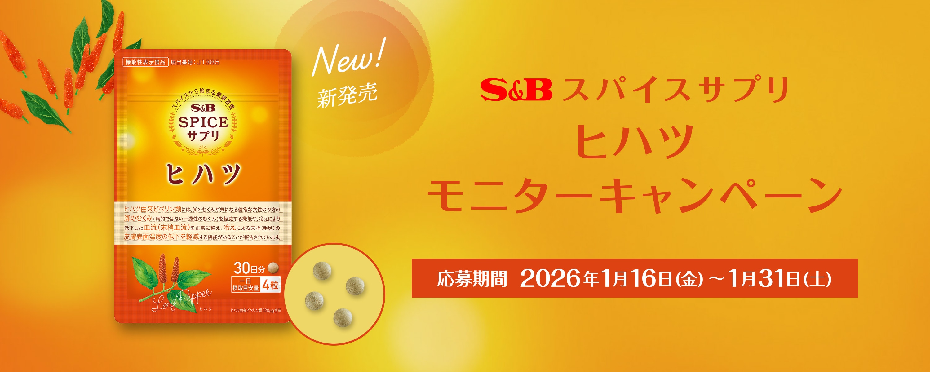 スパイスサプリ ヒハツ モニターキャンペーン
