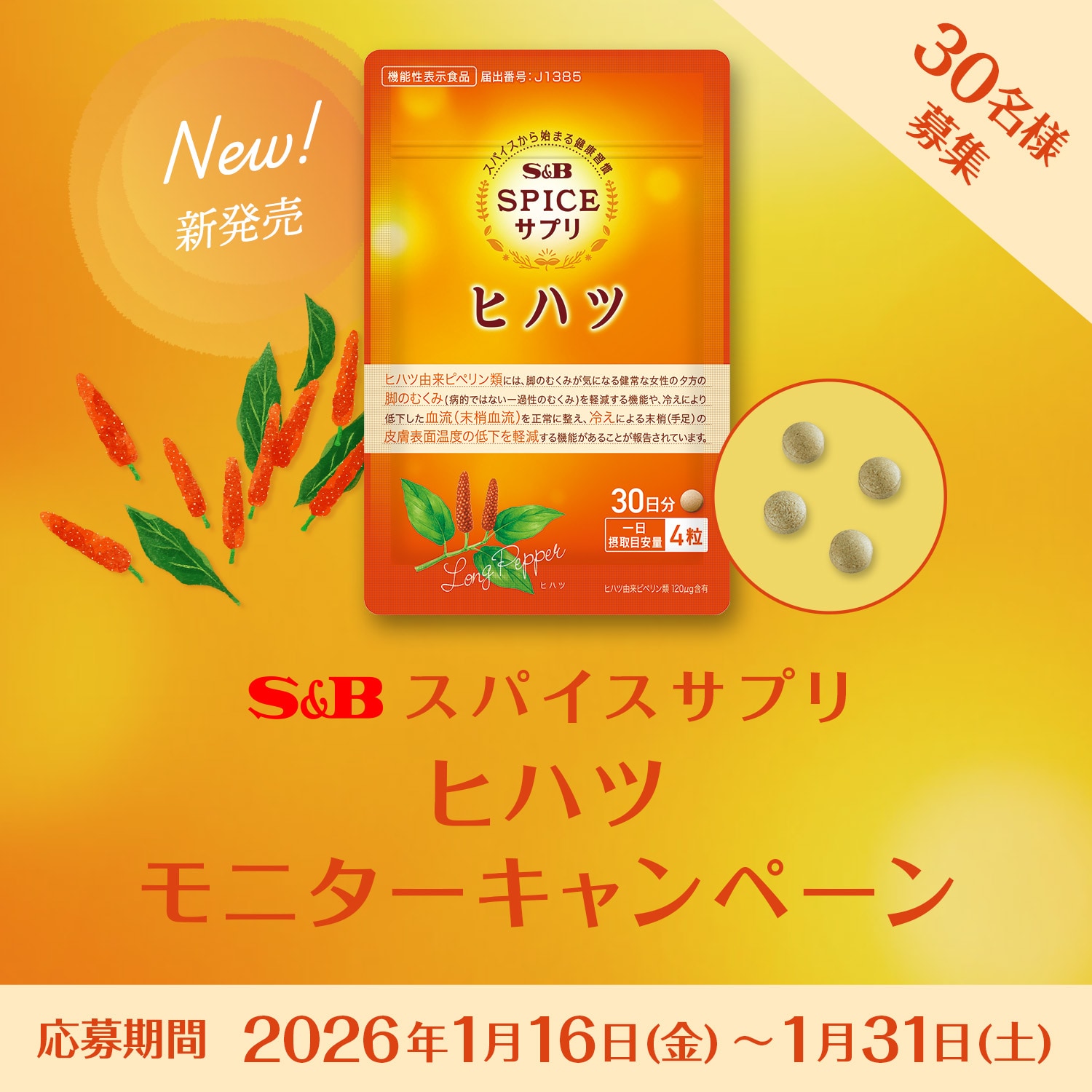 スパイスサプリ ヒハツ モニターキャンペーン