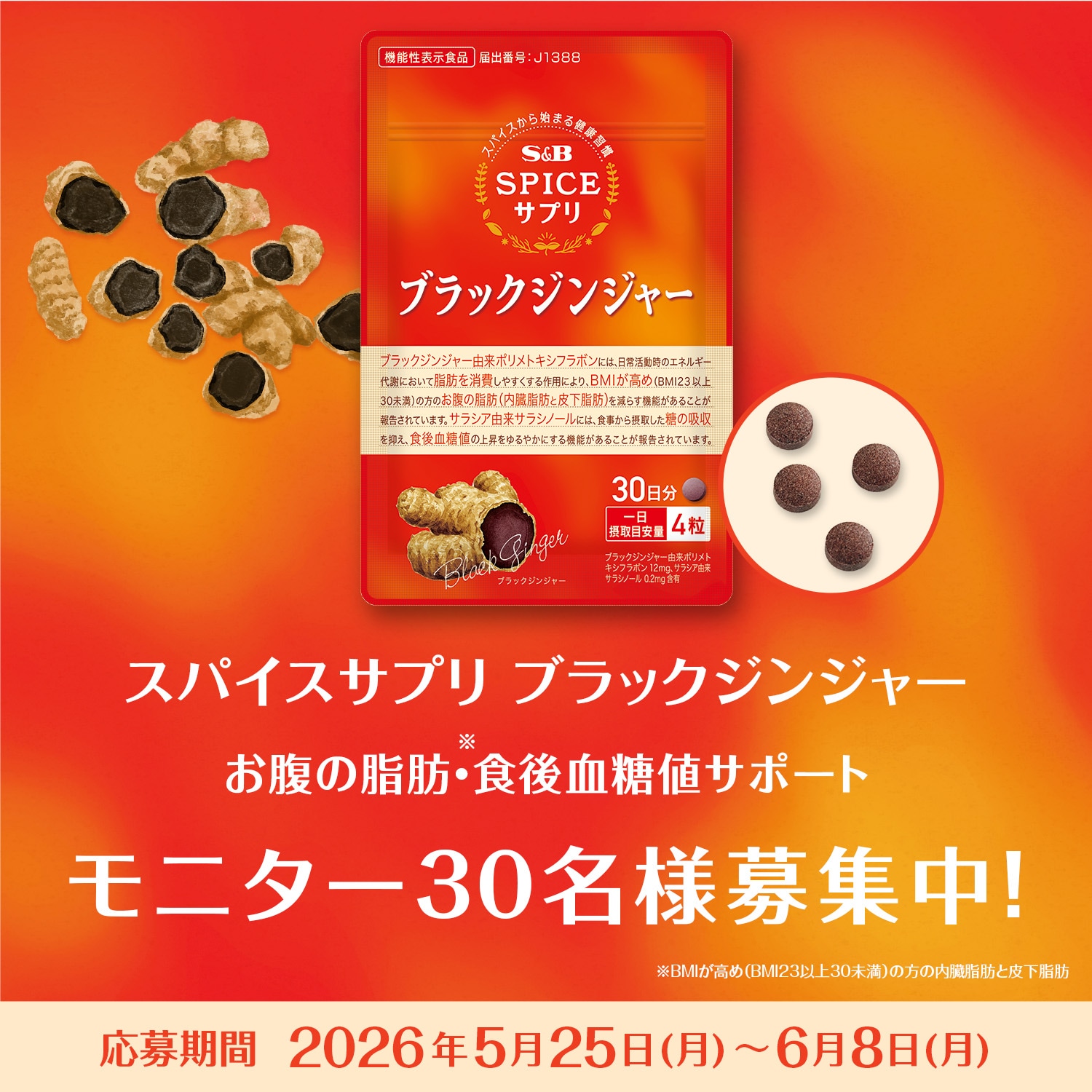 スパイスサプリブラックジンジャー モニターキャンペーン