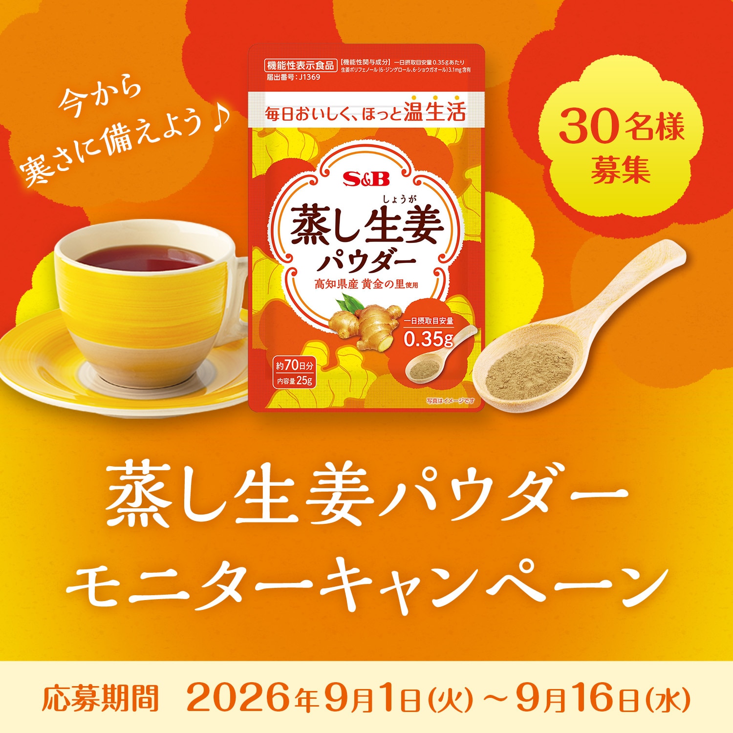 蒸し生姜パウダー モニターキャンペーン