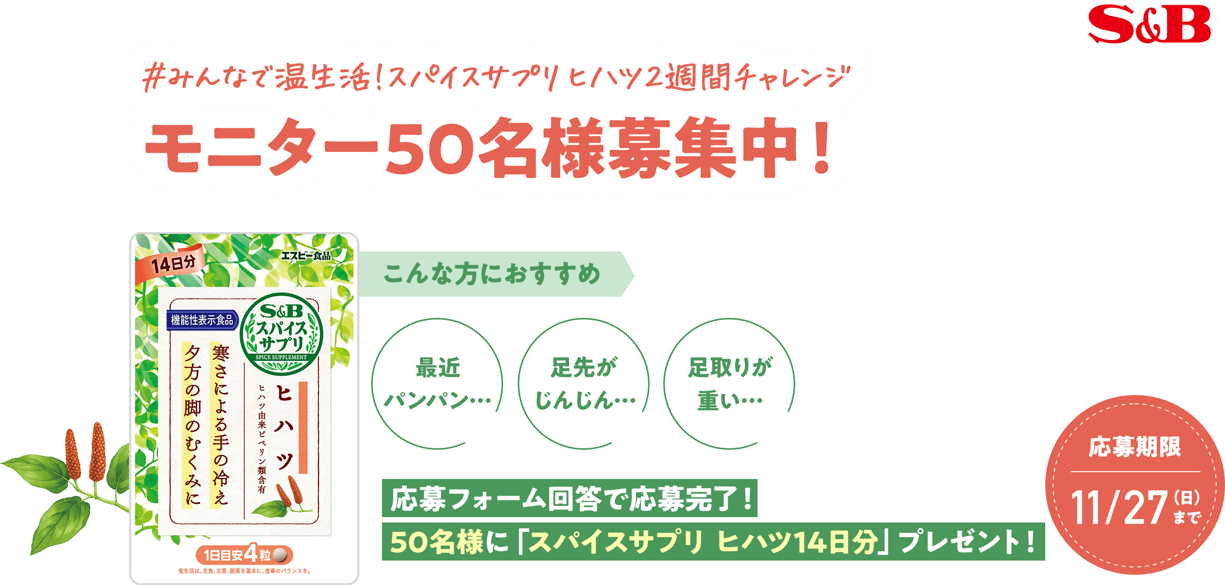 #スパイスサプリヒハツ2週間チャレンジ モニター50名様募集中！