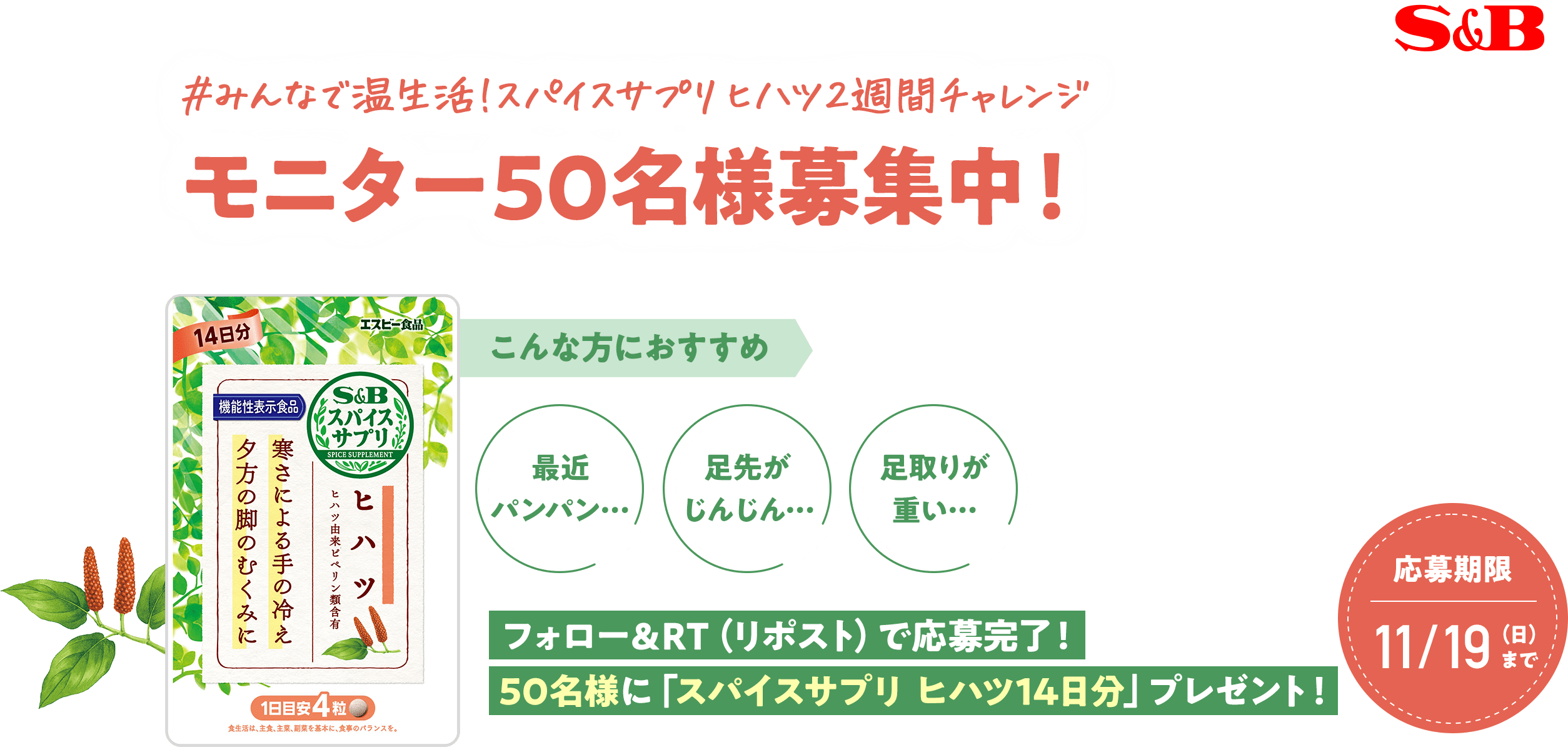 #スパイスサプリヒハツ2週間チャレンジ モニター50名様募集中！