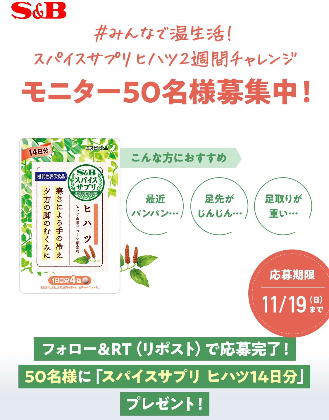 #スパイスサプリヒハツ2週間チャレンジ モニター50名様募集中！