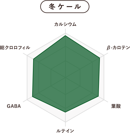 冬ケール