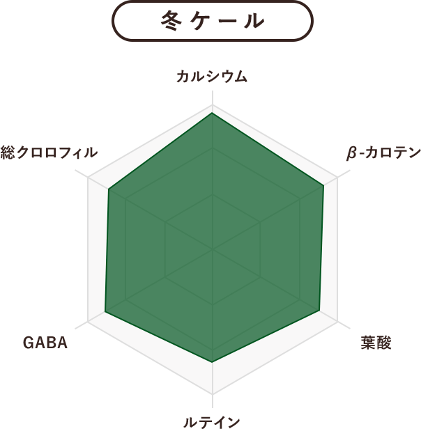 冬ケール