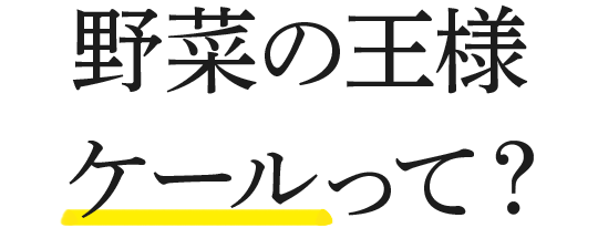 野菜の王様 ケールって？