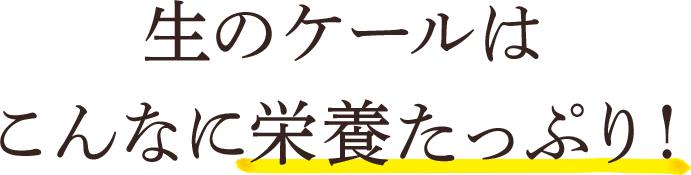 生のケールはこんなに栄養たっぷり！