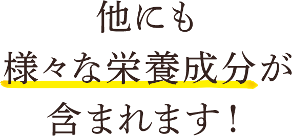 他にも様々な栄養成分が含まれます！