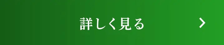 詳しく見る