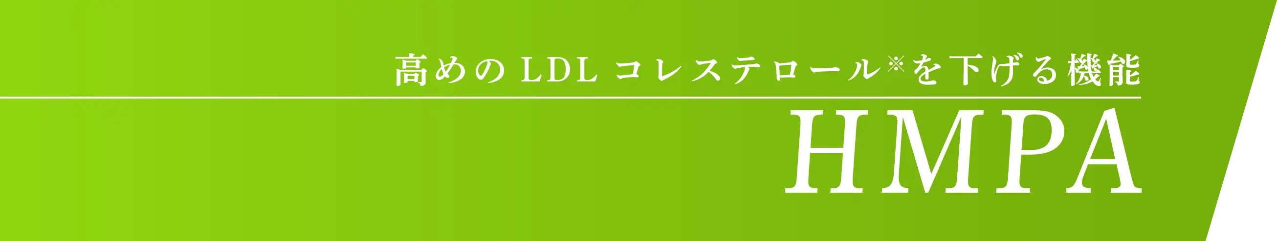 高めのLDLコレステロールを下げる機能 HMPA