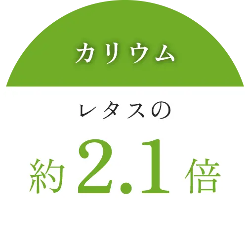 レタスの約2.1倍のカリウム