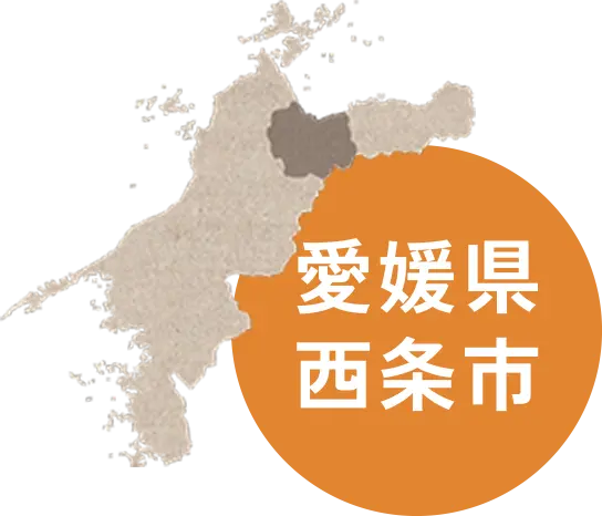 愛媛県西条市