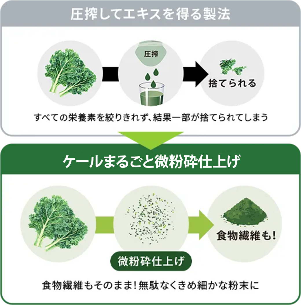 一般的に圧搾工程を経て食物繊維などの栄養成分を捨ててしまう製品もありますが、本品は丁寧に乾燥した有機ケールをそのまま微粉砕して仕上げています。<br>微粉砕により、ざらざらすることのない食感を実現しています。