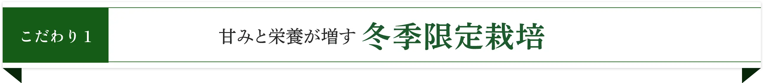 こだわり1 甘味と栄養が増す冬季限定栽培