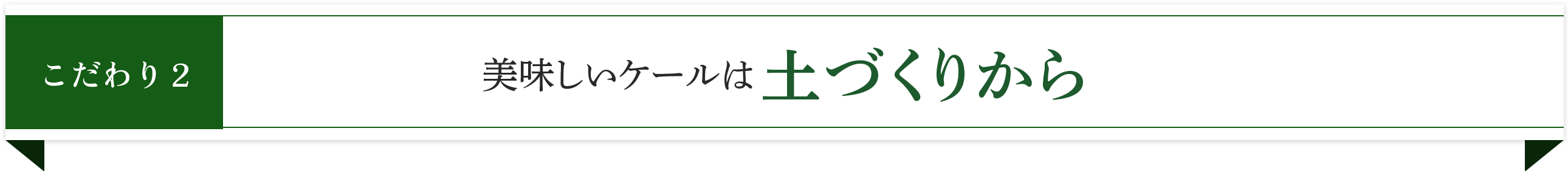 こだわり2 美味しいケールは土づくりから