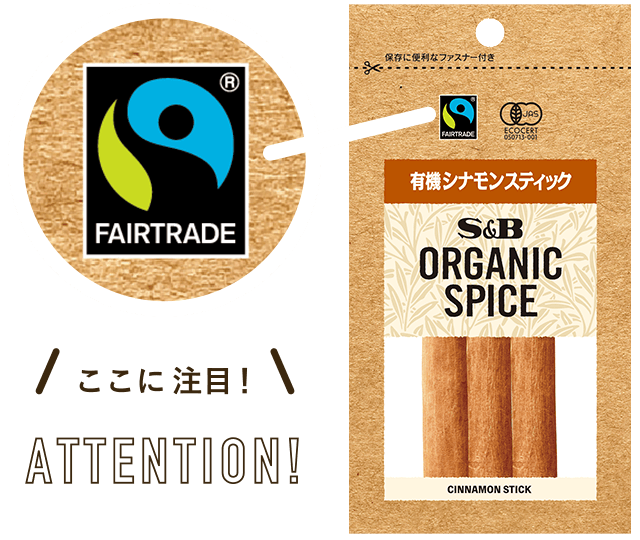 ここに注目