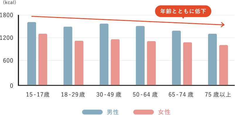 日本人の平均的な基礎代謝量