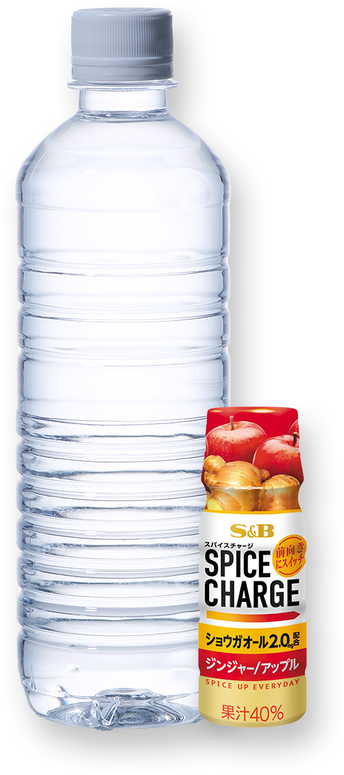 スパイスチャージ SPICE CHARGE