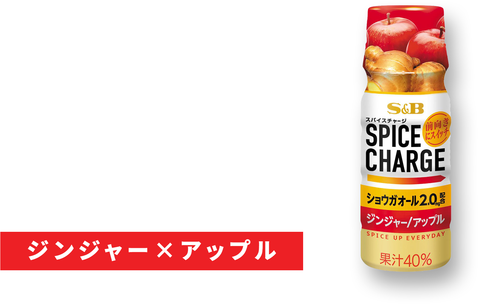 スパイスチャージ SPICE CHARGE