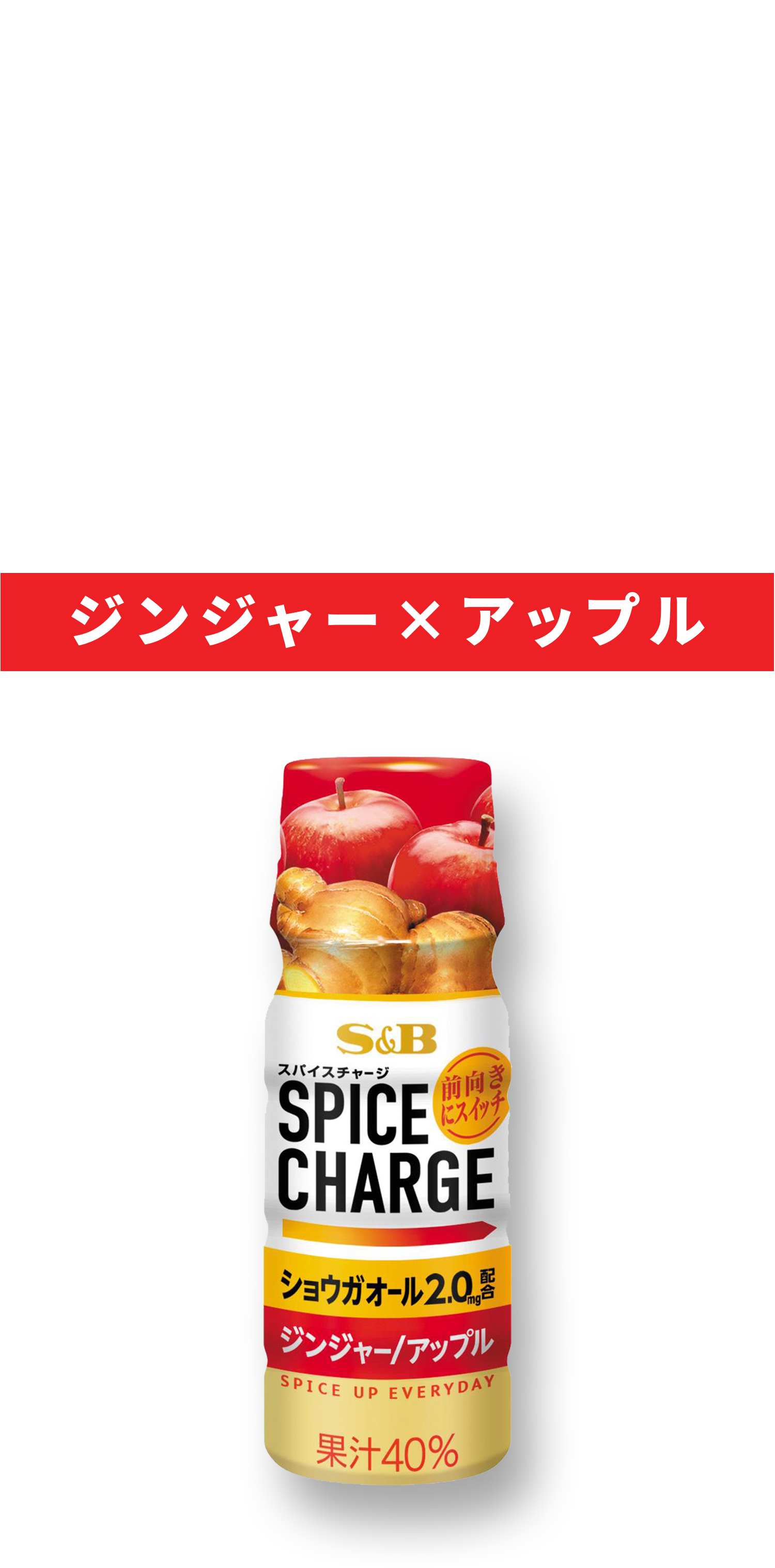 スパイスチャージ SPICE CHARGE