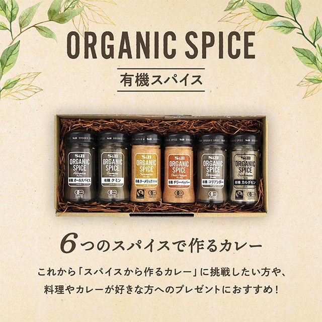 ６つのスパイスで作るカレーセット