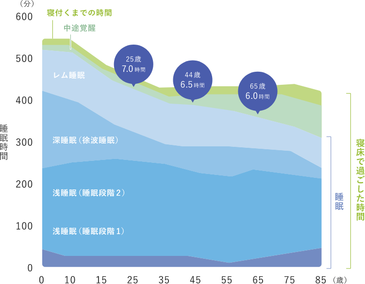 脳波で計測した年齢ごとの平均睡眠時間（睡眠段階別）
