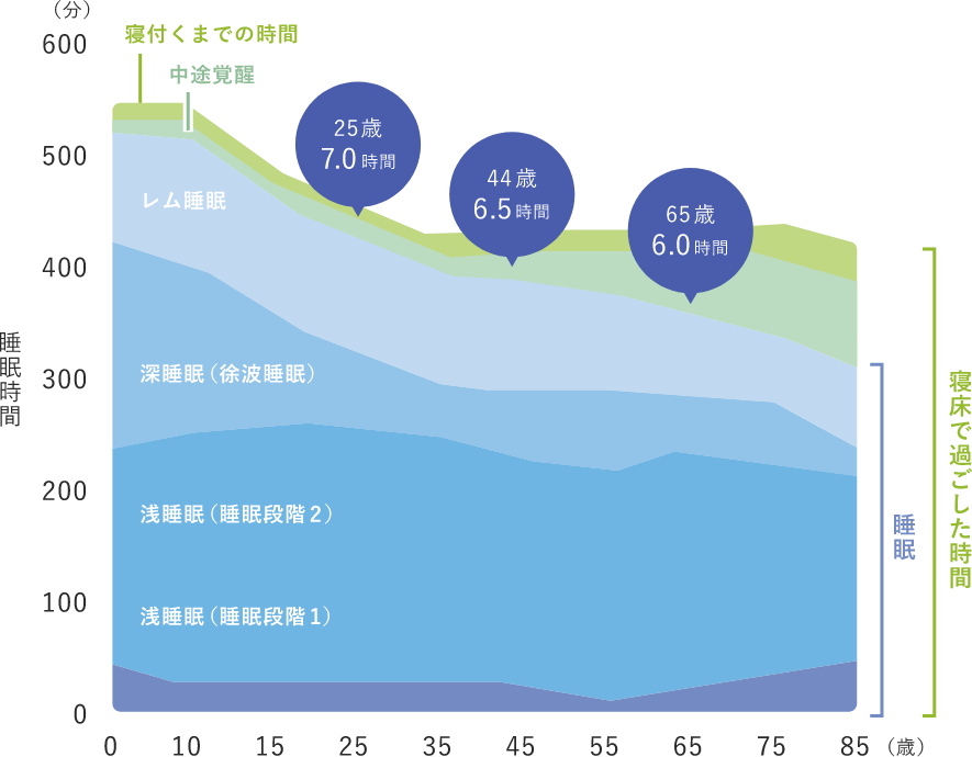 脳波で計測した年齢ごとの平均睡眠時間（睡眠段階別）